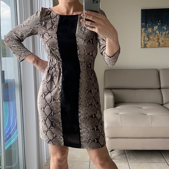 💖 5 for $25 💖 ZARA 🐍 Print Dress - Picture 2 of 8